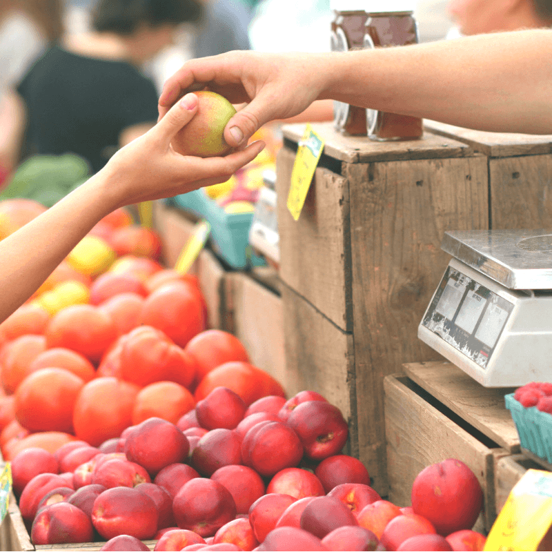 seasonal shopping groceries