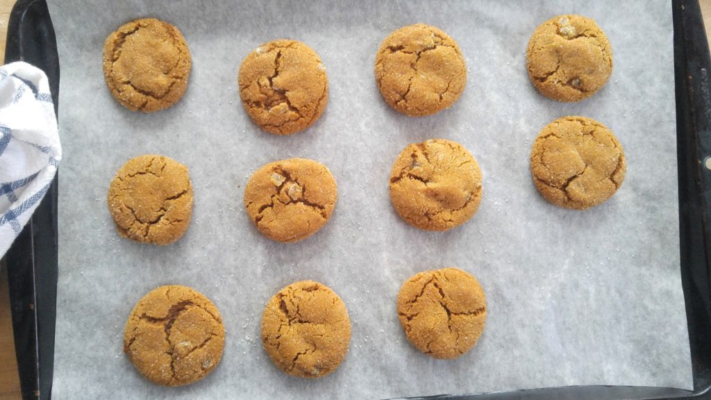 Fresh baked gingersnap cookies lined up on  a parchment-lined baking sheet.