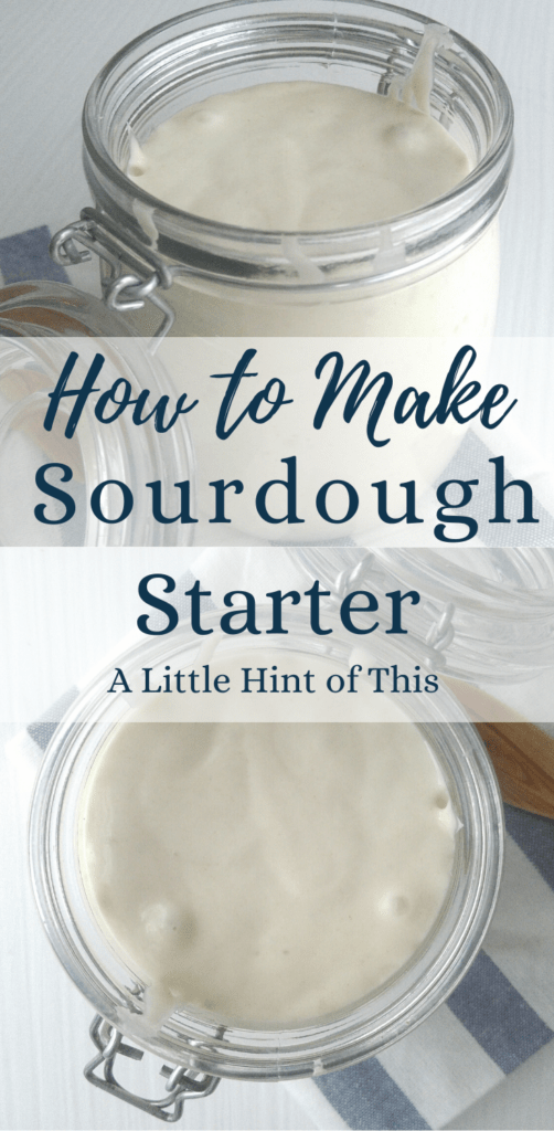 pin sourdough starter