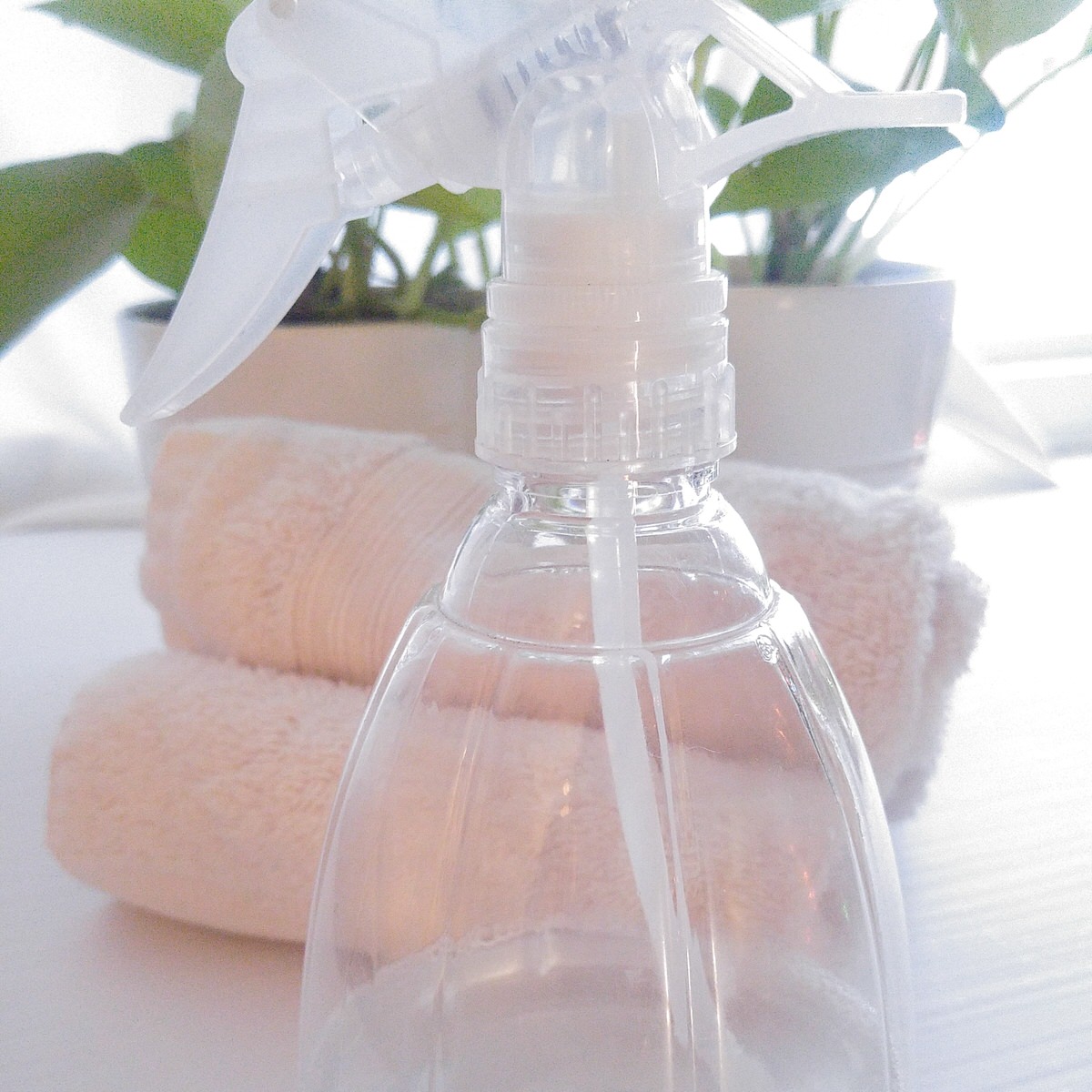 clear spray bottle with clear stain remover in it in front of some rolled hand towels and a green plant
