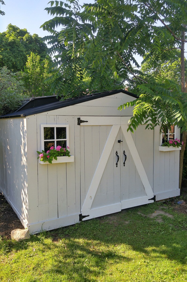 garden shed with a painted black roof