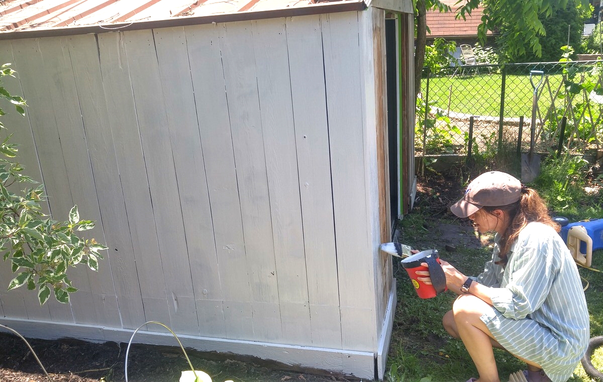 a woman in a blue shirt paints the bottom of a shed wall light grey