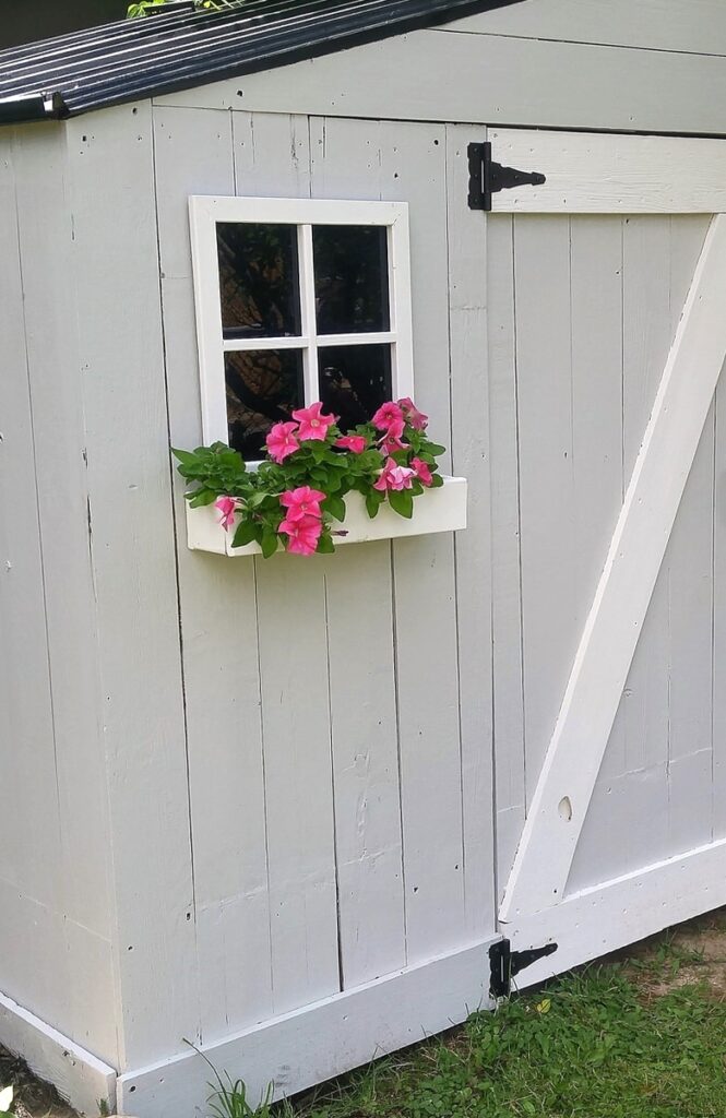 close up of window and window box full of petuntias on garden shed