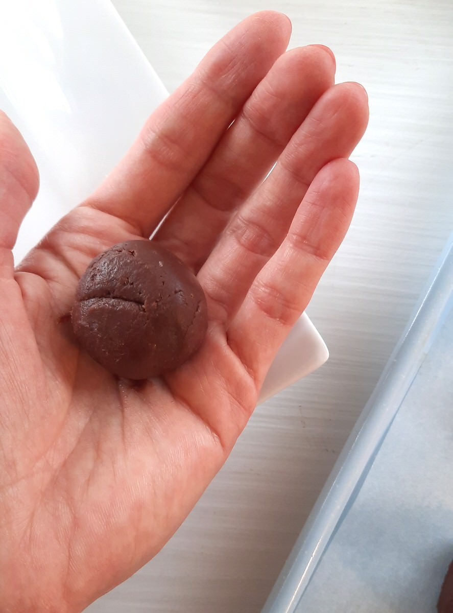 a hand holds a rolled ball of truffle