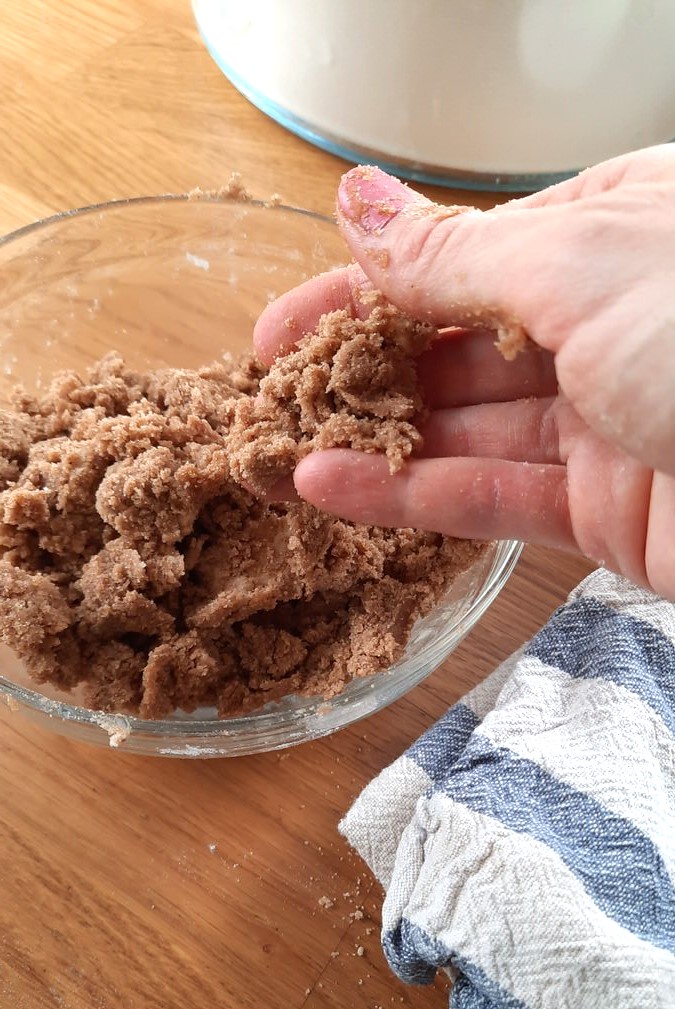 a hand shows the texture of coffee cake crumble which resembles wet sand