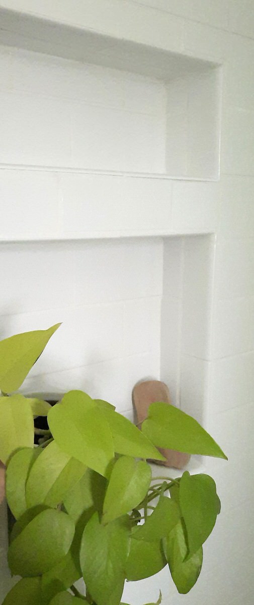 a white subway tiled shelf in the bathtub holds a green plant